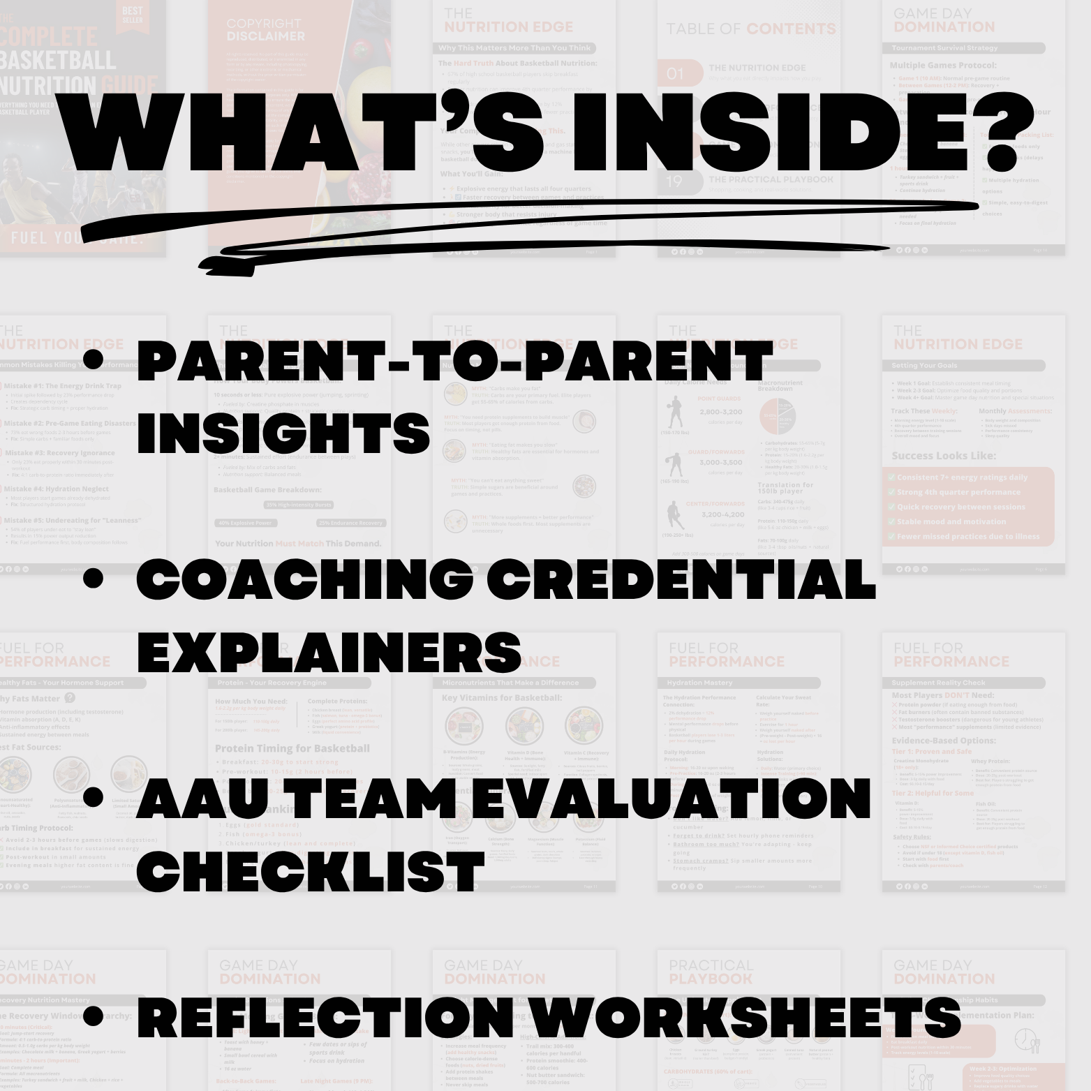 Coaching Credentials Uncovered: Evaluating Qualifications in AAU Basketball - Fully Editable Template

Navigate the complex world of AAU basketball coaching with confidence. This comprehensive evaluation guide provides parents, players, and program directors with the essential tools to assess coaching credentials, identify quality instruction, and make informed decisions about basketball development programs.