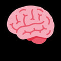 Performance Anxiety Reflection Prompts